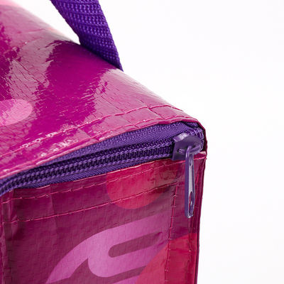 Shoulder Strap Camping Sports Travel Cooler Insulated Picnic Bag