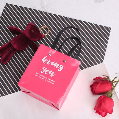 Pink Luxury Shopping Gift Handle Custom Printed Paper Bags