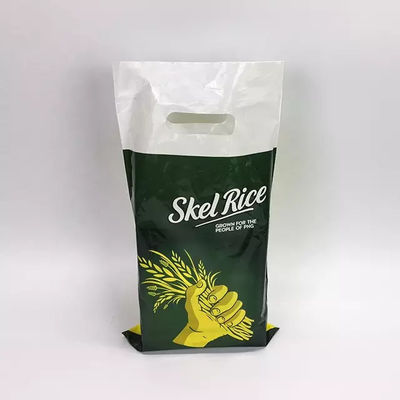 Eco Friendly Carrier Die Cut Handle Printed Plastic Bag