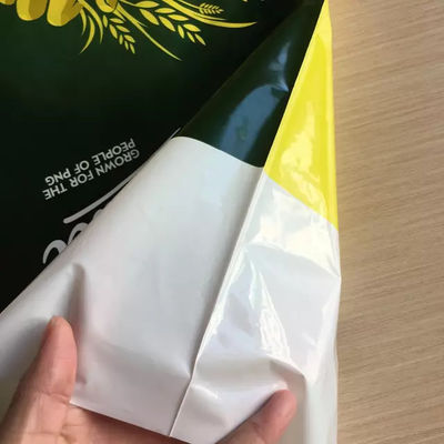 Eco Friendly Carrier Die Cut Handle Printed Plastic Bag