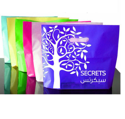 LDPE Patch Printed Plastic Bag