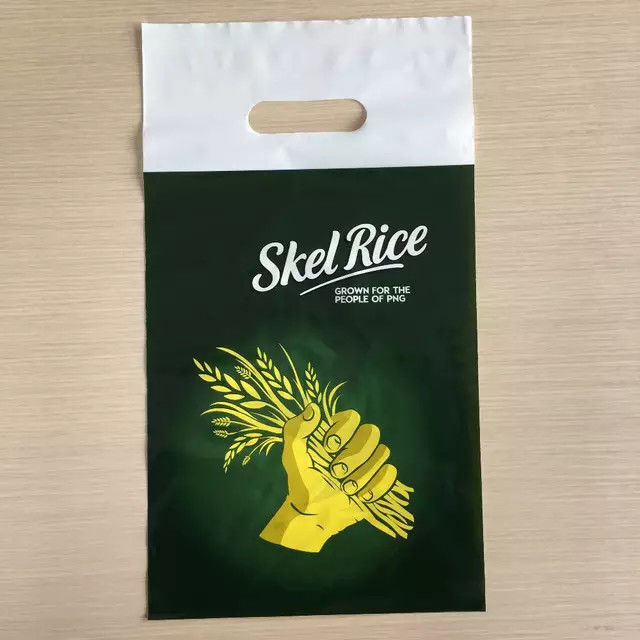 Eco Friendly Carrier Die Cut Handle Printed Plastic Bag